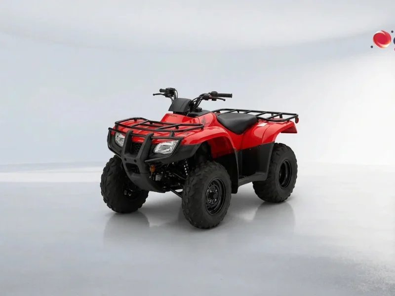2026 Honda Trx 250 Tm for sale in East London